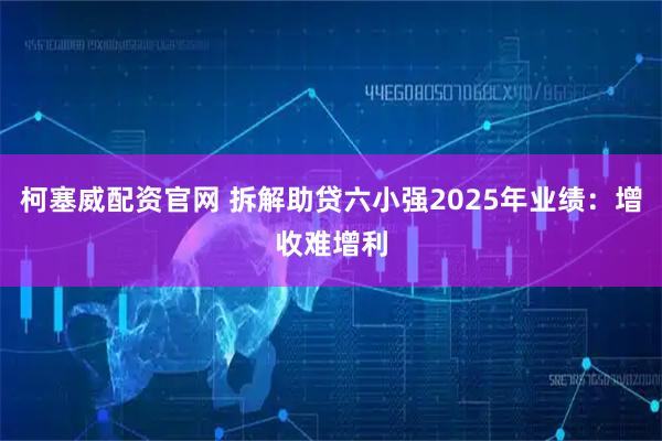 柯塞威配资官网 拆解助贷六小强2025年业绩：增收难增利