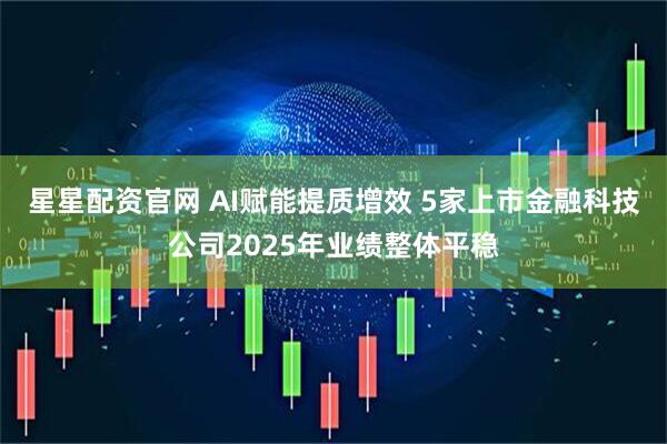 星星配资官网 AI赋能提质增效 5家上市金融科技公司2025年业绩整体平稳